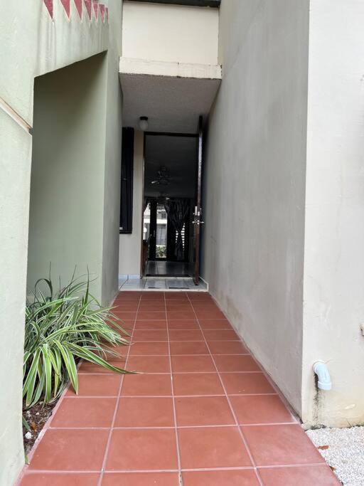 Entire Beach Apartment With View To El Yunque National Rain Forest Рио-Гранде Экстерьер фото